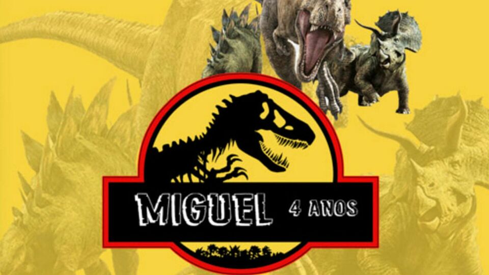 Miguel 4 anos