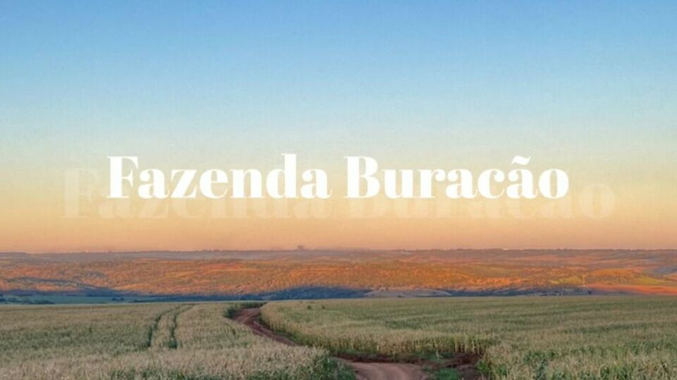 Fazenda Buracão - 2024