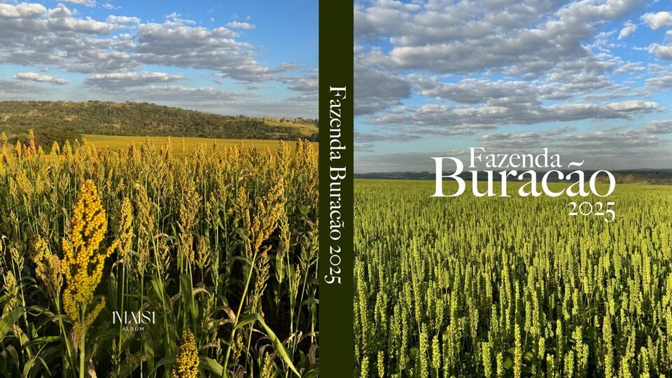 Fazenda Buracão - 2025